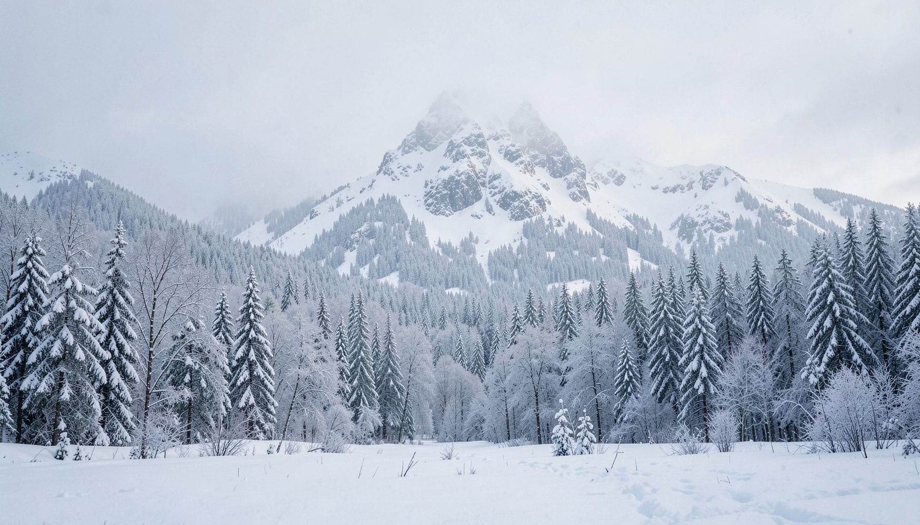 Bosque nevado en Finlandia con luz tenue de invierno, tonos blancos y grises, sensación de calma nórdica