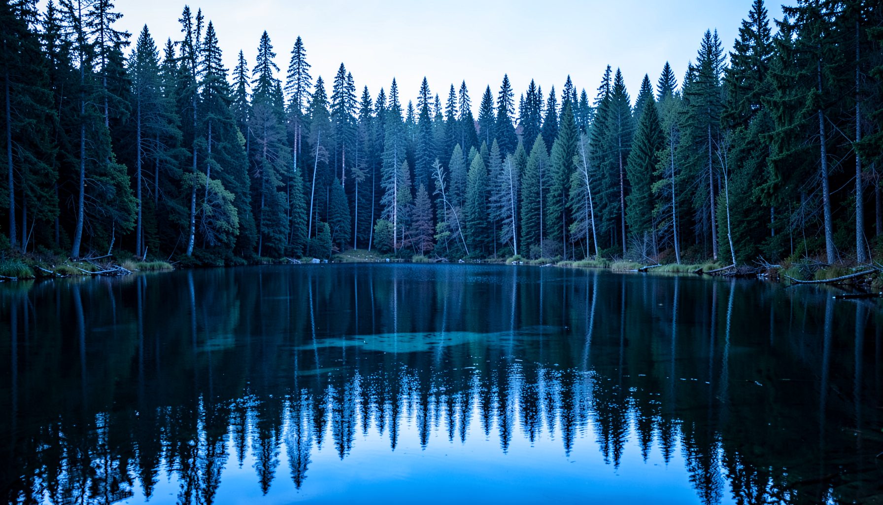 Lago nórdico rodeado de bosque de pinos con luz fría y reflejos azulados en el agua