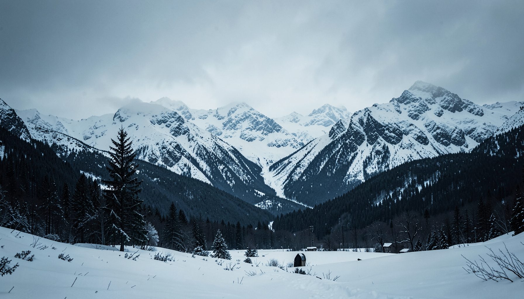 Paisaje invernal con tonos fríos y atmósfera melancólica, montañas nevadas bajo un cielo grisáceo